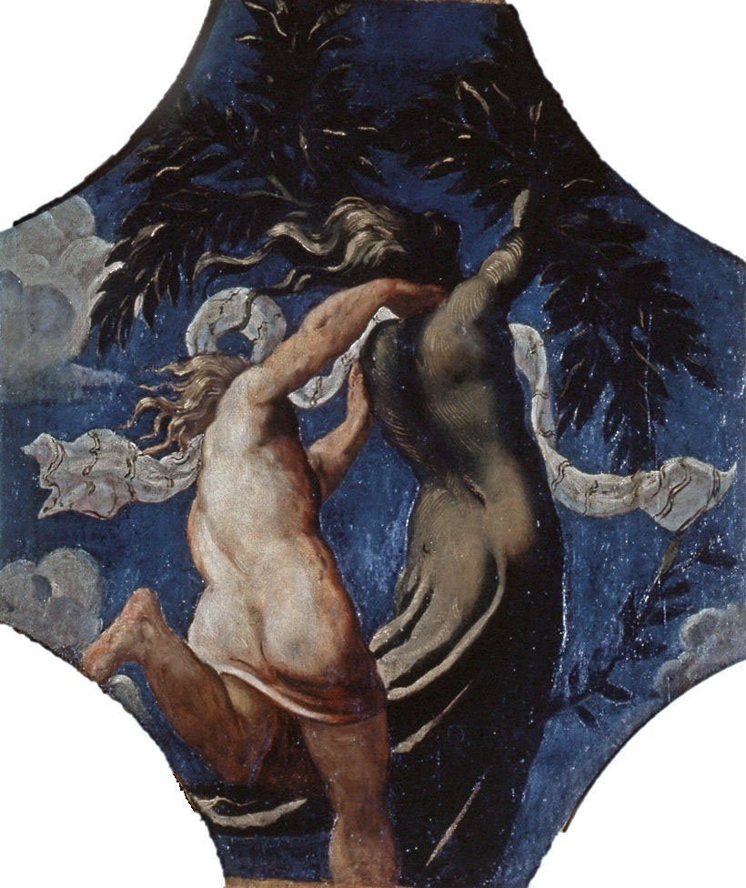 Apolo y Dafne – Tintoretto